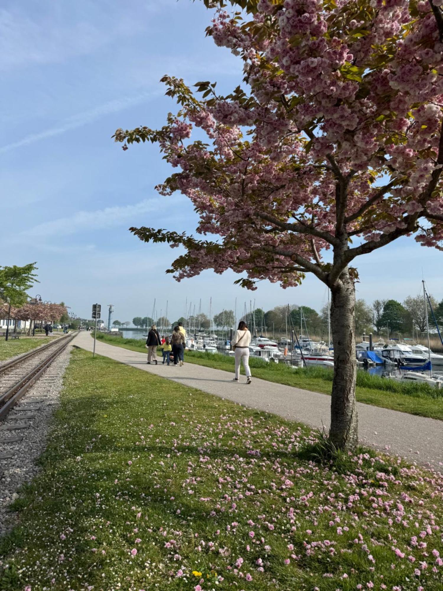 Gite Du Flot - Baie De Somme Boismont  Esterno foto
